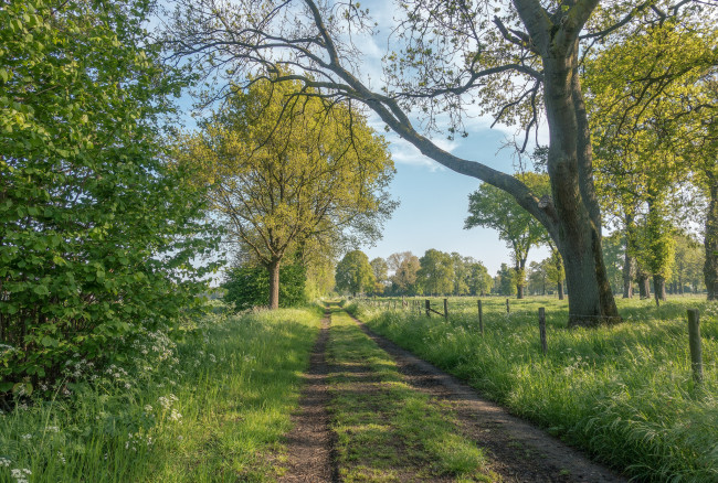 Обои картинки фото природа, дороги, простор