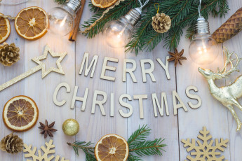 Картинка праздничные -+разное+ новый+год цитрусы лампочки елка олень снежинки шишки