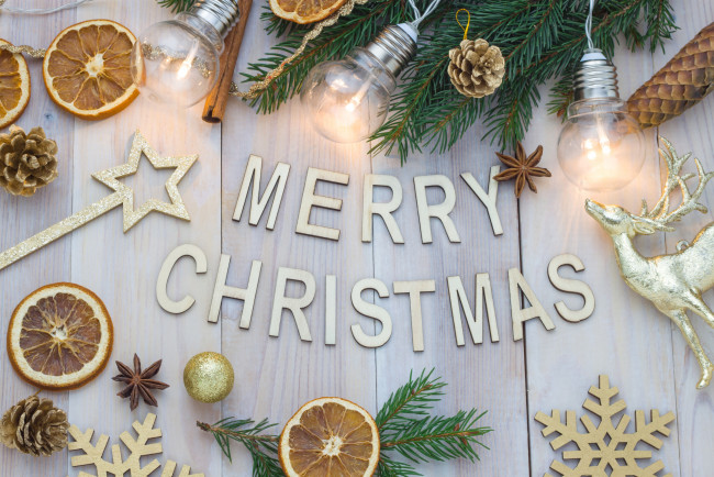 Обои картинки фото праздничные, - разное , новый год, цитрусы, лампочки, елка, олень, снежинки, шишки