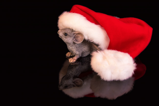 Обои картинки фото праздничные, фигурки, мышь, фигурка, шапка