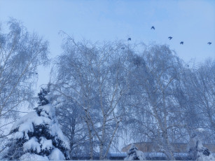 Картинка природа зима снег