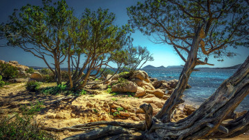 обоя the coast of olbia, sardinia island, italy, природа, побережье, the, coast, of, olbia, sardinia, island