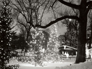 Картинка праздничные