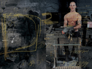 Картинка dsquared2 бренды