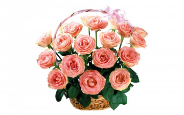 Картинка цветы розы