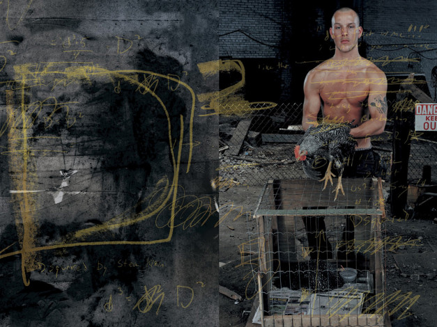 Обои картинки фото dsquared2, бренды