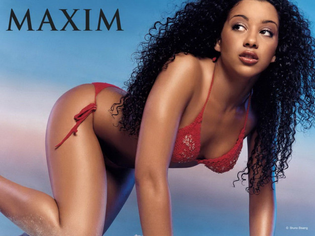 Обои картинки фото бренды, maxim