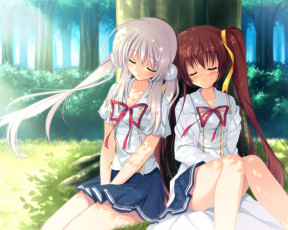 Картинка аниме da capo