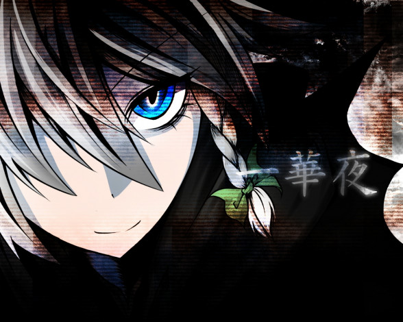 Обои картинки фото аниме, touhou