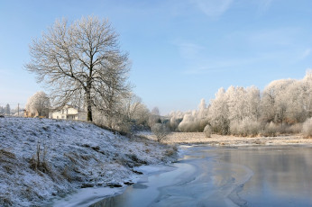 Картинка природа зима снег