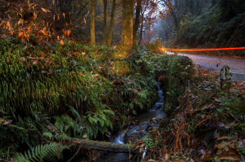 Картинка bucks mills england природа дороги лес дорога