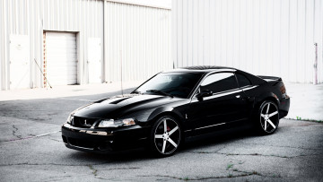 Картинка mustang автомобили автомобиль мощь скорость красота