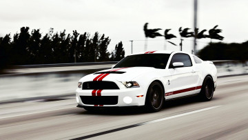 Картинка mustang автомобили автомобиль мощь скорость красота