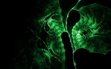 Картинка 3д графика fractal фракталы узор линии изгибы фон