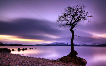 Картинка природа реки озера дерево тучи горы озеро