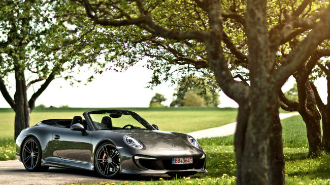 Обои картинки фото porsche, 911, carrera, автомобили, мощь, автомобиль, красота, скорость