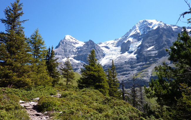 Обои картинки фото природа, горы, деревья, тропинка, хвойные, лес, небо, пик, снег