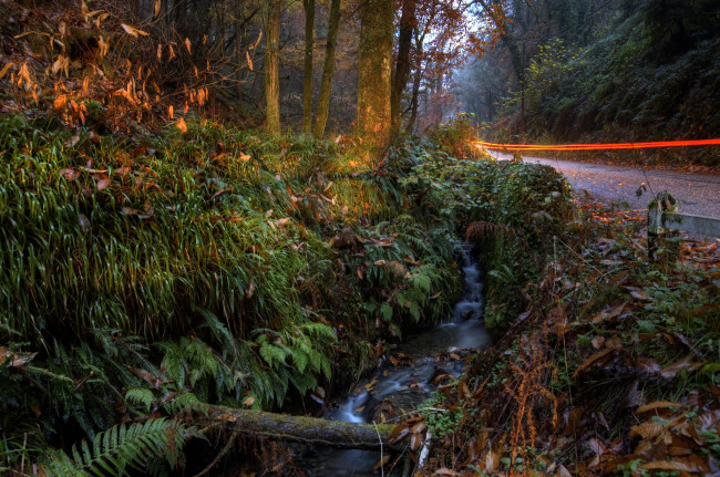 Обои картинки фото bucks, mills, england, природа, дороги, лес, дорога