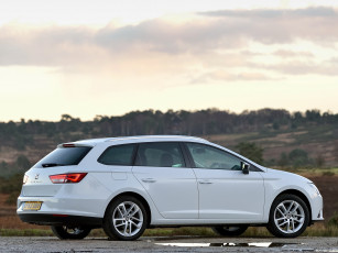 Картинка автомобили seat leon st uk-spec 2014 светлый