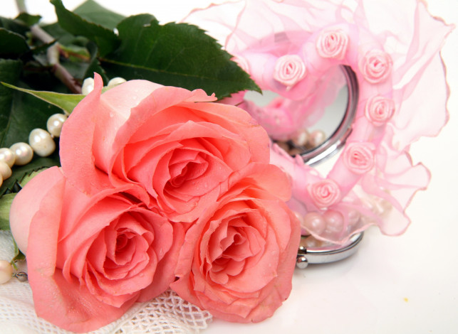 Обои картинки фото цветы, розы, трио, розовый