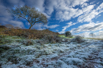 Картинка природа пейзажи поле трава иней