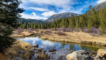 Картинка природа реки озера горы лес река