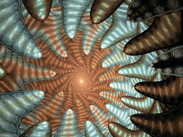 Обои картинки фото 3д графика, фракталы , fractal, фон, узор, цвета