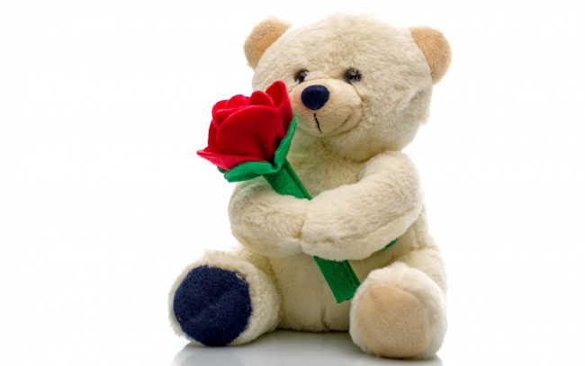 Обои картинки фото разное, игрушки, плюшевый, игрушка, teddy, мишка, bear