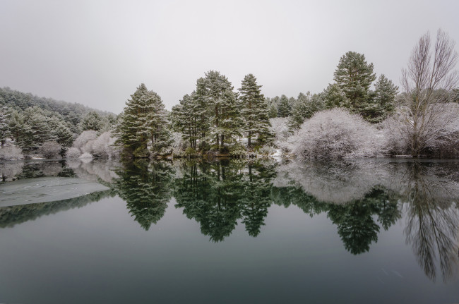 Обои картинки фото природа, реки, озера, лес, река, иней