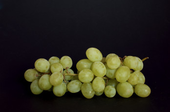 Картинка еда виноград кисть