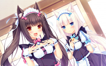 Картинка аниме nekopara фон взгляд девушки