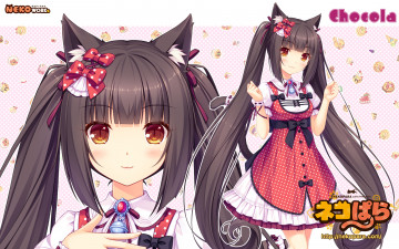 Картинка аниме nekopara фон взгляд девушка