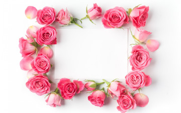 Картинка цветы розы бутоны бумага