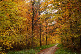 Картинка природа дороги простор