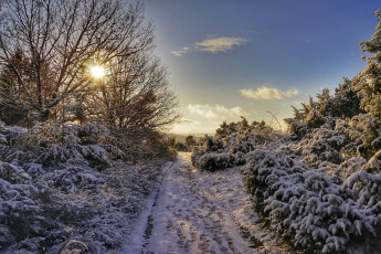 Картинка природа зима простор