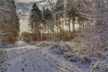 Картинка природа зима простор