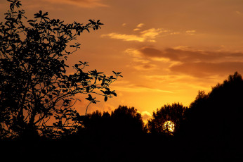 Картинка природа восходы закаты простор