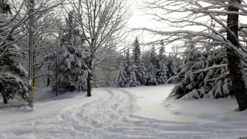 Картинка природа зима простор