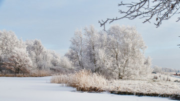 Картинка природа зима простор