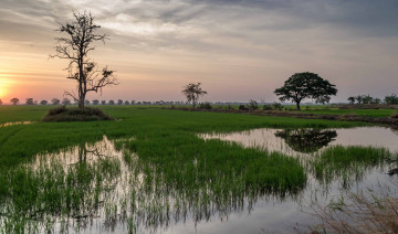 Картинка природа реки озера простор