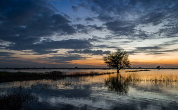 Картинка природа пейзажи простор