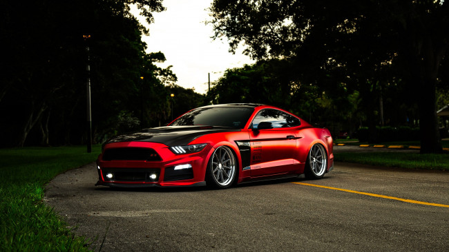 Обои картинки фото автомобили, mustang, ford, gt