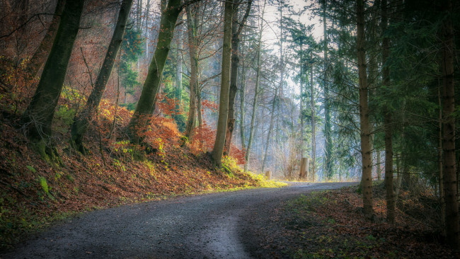 Обои картинки фото природа, дороги, простор