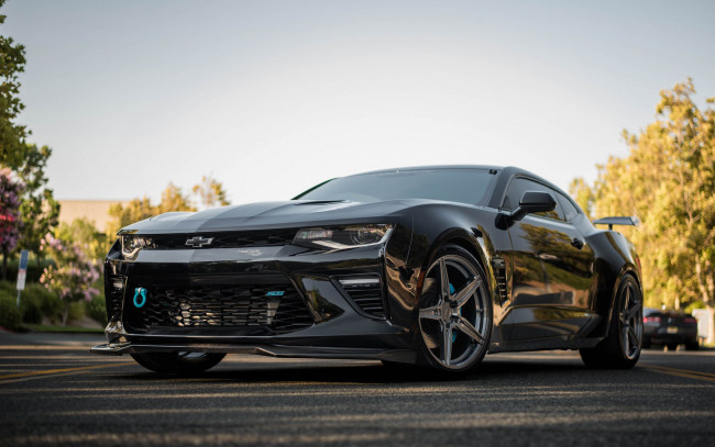 Обои картинки фото автомобили, camaro