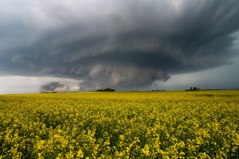 Картинка природа стихия простор