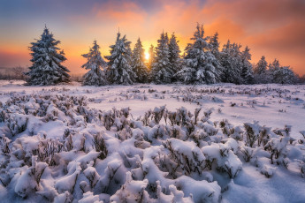 Картинка природа зима простор