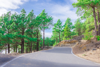 Картинка природа дороги простор