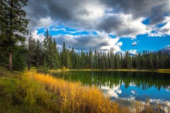 Картинка природа реки озера простор