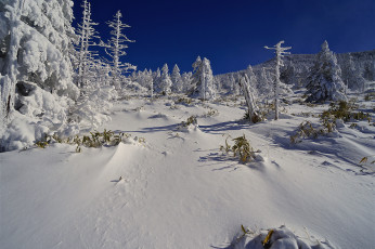 Картинка природа зима простор