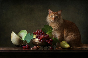 Картинка еда натюрморт снедь